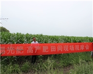 福光肥 高产肥田间现场观...